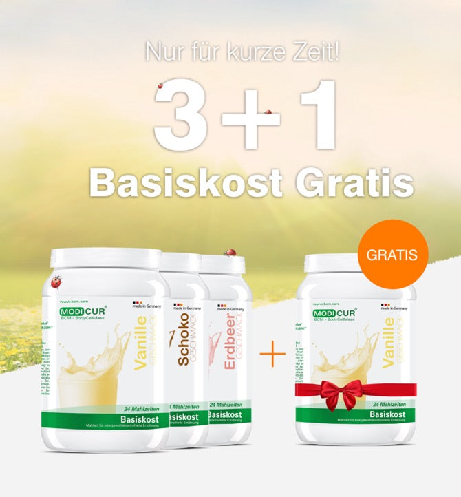 3+1 Basiskost Angebot Sommer