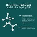 NEU: Modicur Kollagen - BCM Modicur